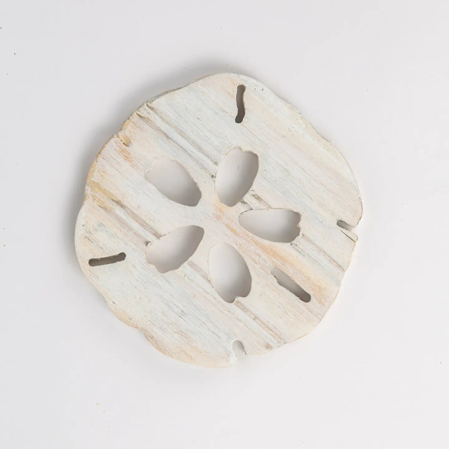 Handcrafted Wooden Sand Dollar Coaster Set