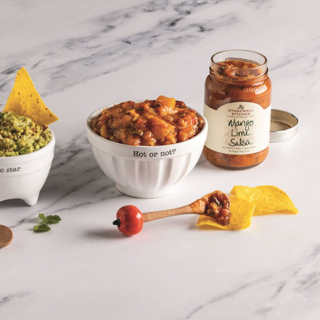 Mud Pie Salsa Bowl Gift Set