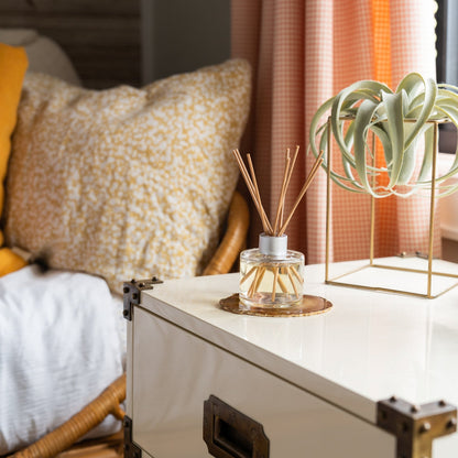 Decorative scene with a diffuser, plant, and pillows on a white surface.