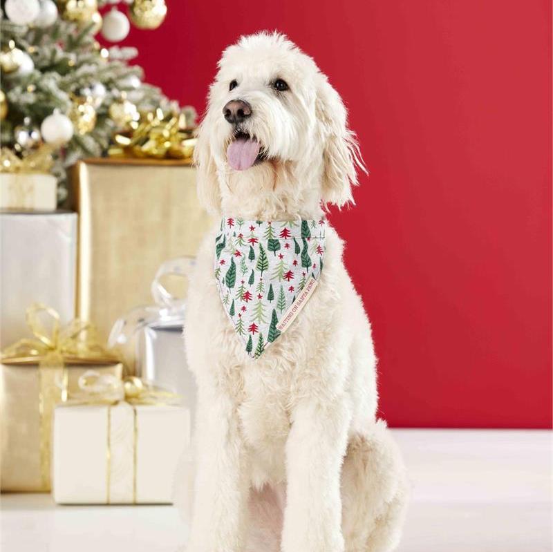 Family Christmas PJ Dog Bandana - CeCe's Home & Gifts