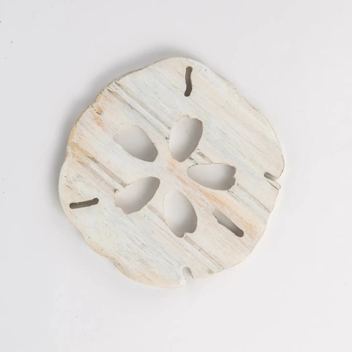 Grace Graffiti Handcrafted Wooden Sand Dollar Coaster Set | CeCe's Home & Gifts
