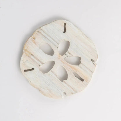 Grace Graffiti Handcrafted Wooden Sand Dollar Coaster Set | CeCe's Home & Gifts