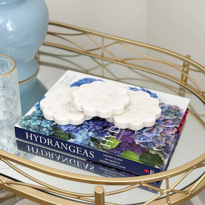 Mud Pie Mud Pie Scallop Marble Coaster Set | CeCe's Home & Gifts