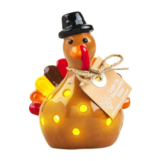 Mud Pie Turkey Light - Up Sitter - CeCe's Home & Gifts